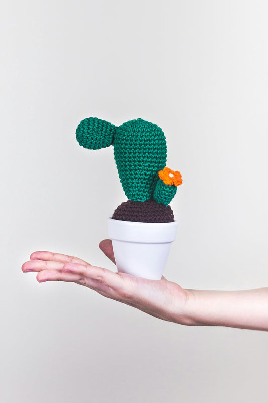 Beginner’s Guide to Starting Your First Crochet Plushie (Amigurumi Basics)